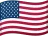 USA Flag